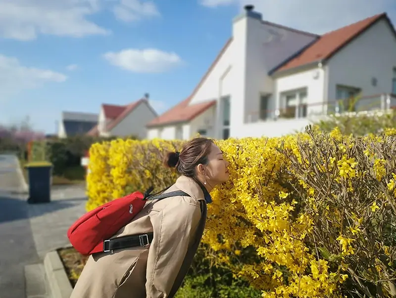 EMAC France Trip 800x603 This is a commemorative picture of the EMAC event.